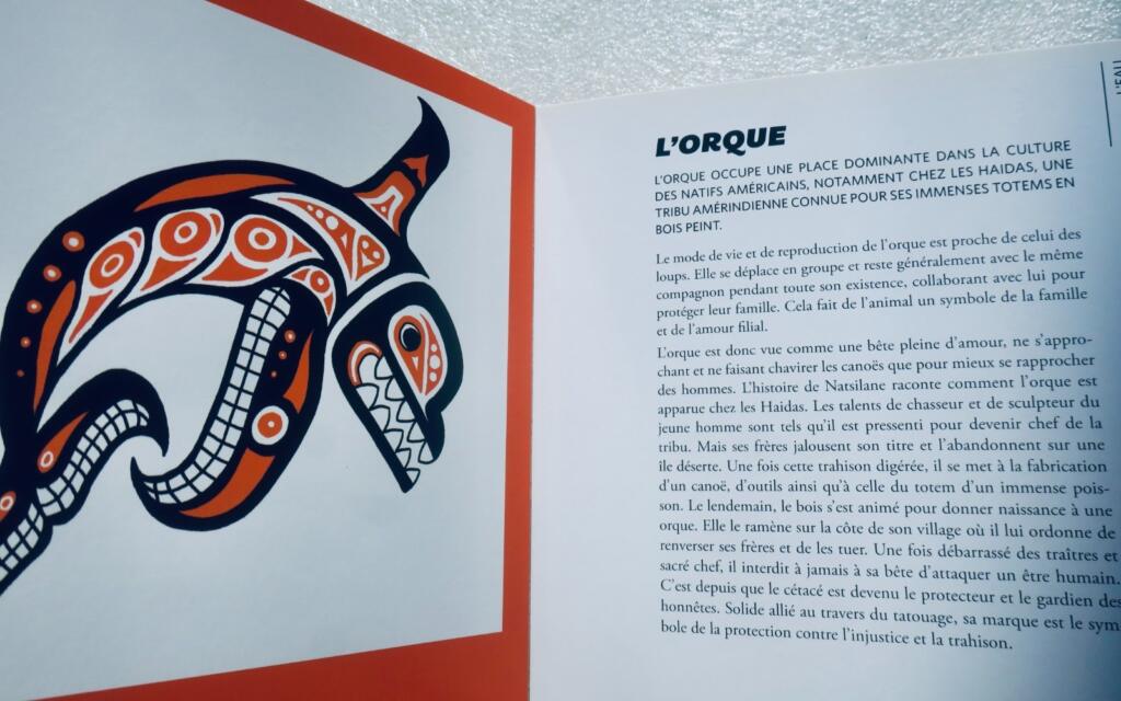 50 histoires dans la peau + encyclopédie du tatouage