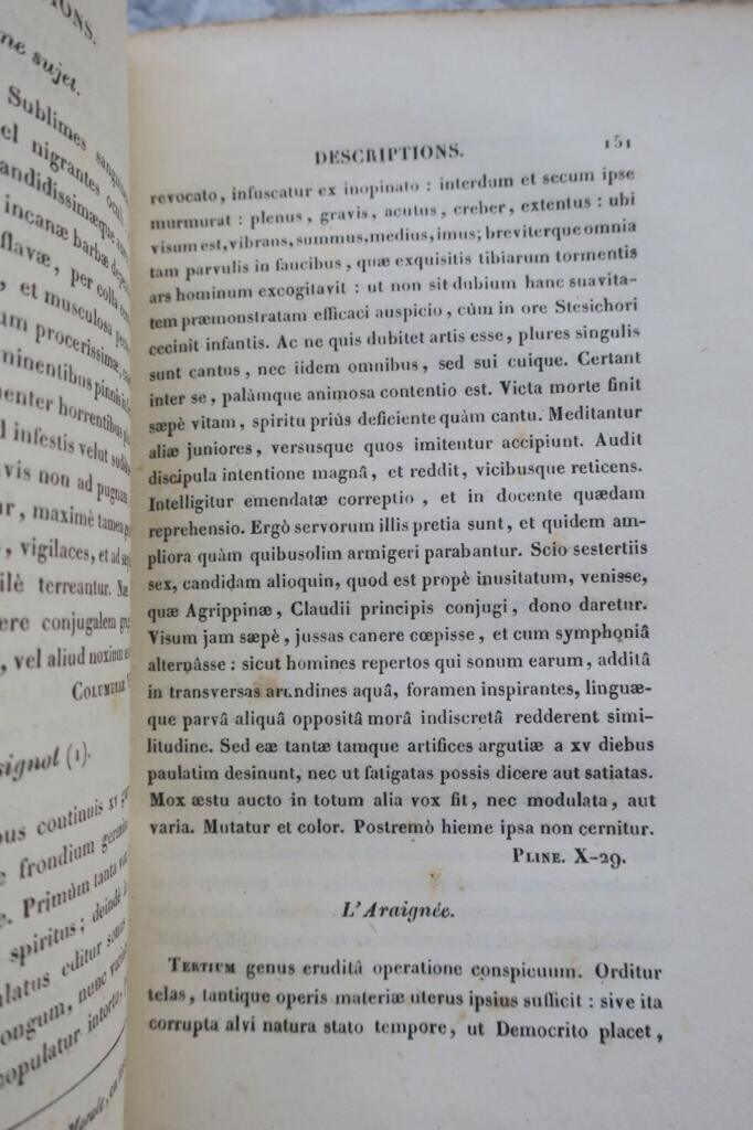 Modern Latin Lessons on Literature and Morality