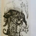 Wildtiere in Kunst und Folklore
