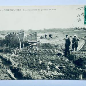 ensemencement des pommes de terre Noirmoutier 1912