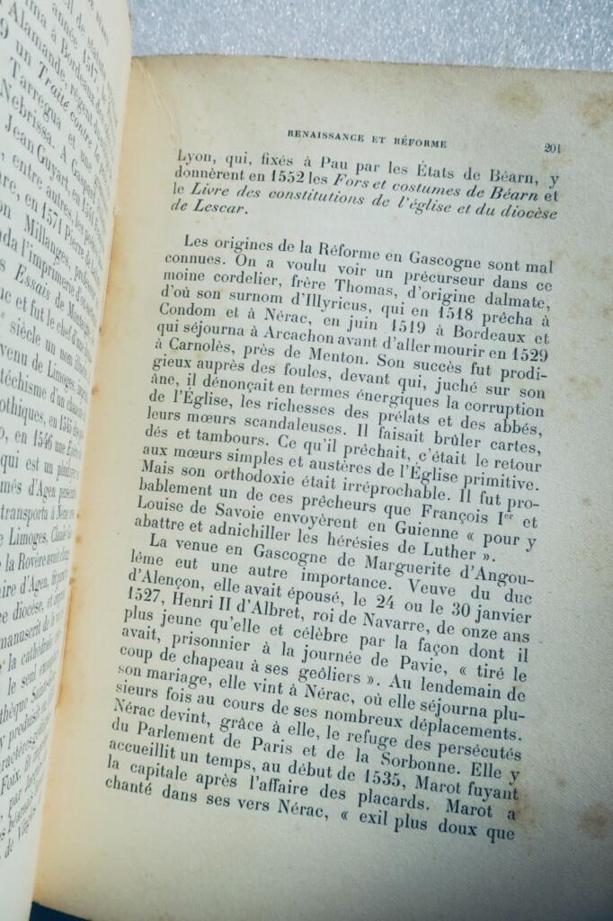 Cascogne HISTOIRE DE GASCOGNE ET DE BEARN