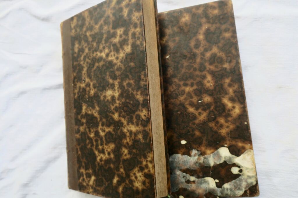 Reiseerinnerungen durch Tartarei, Tibet und China 1844-1846