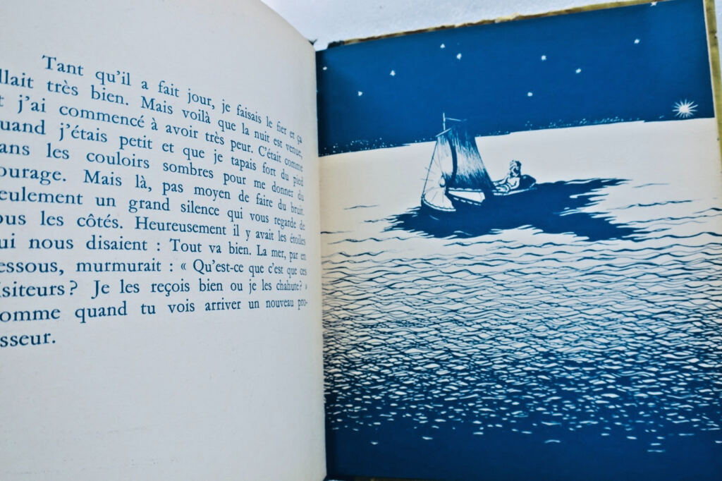 Survival at Sea: A Voluntary Castaway's Account