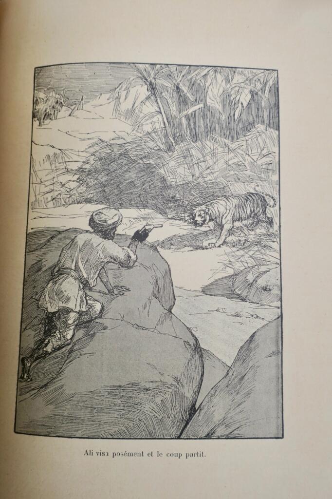 Adventure and shipwreck in the Djumna