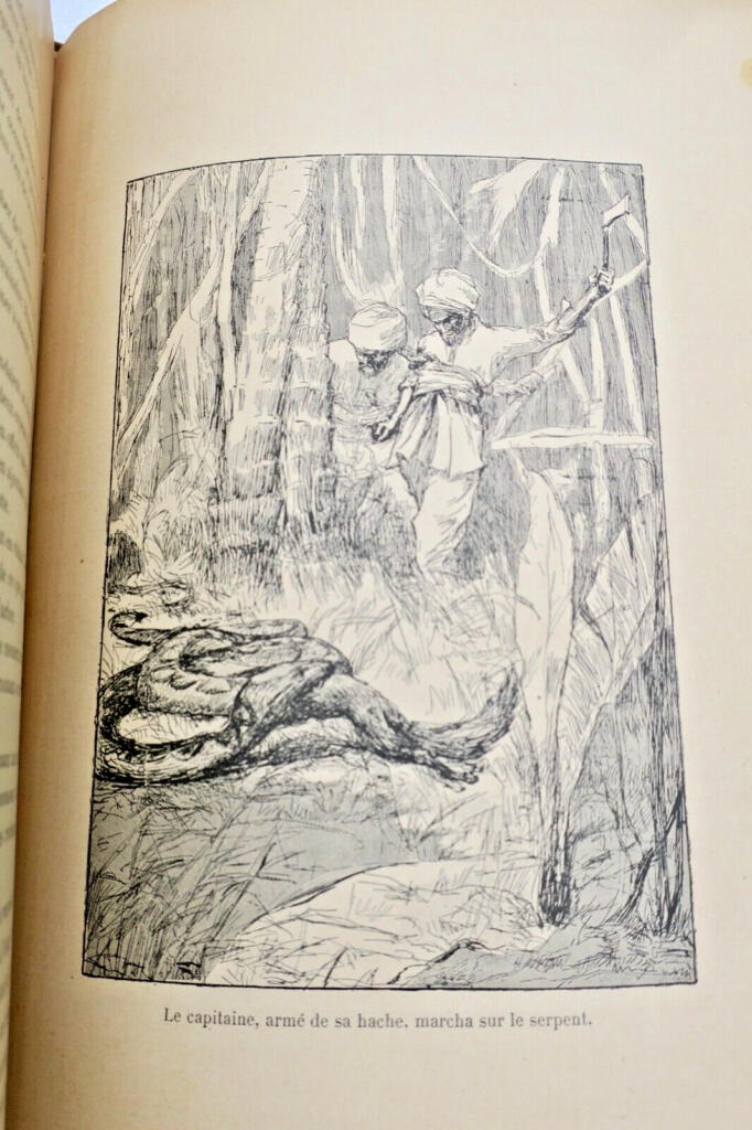 Adventure and shipwreck in the Djumna