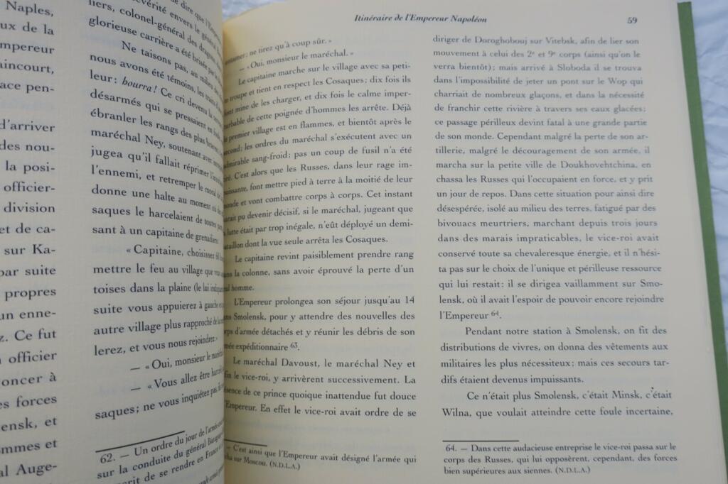 Napoleon's Campaign in Russia Insights