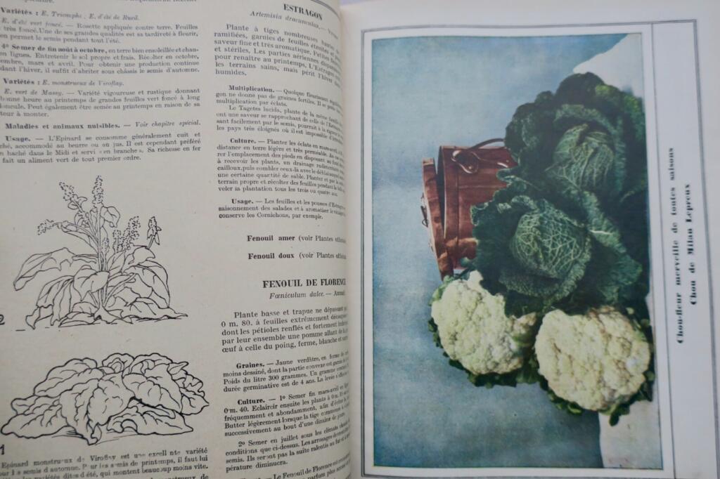 Clause’s 18th-century gardening manual