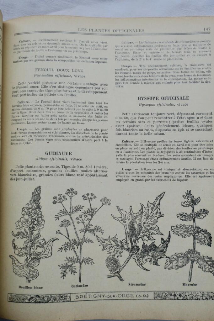 Clause’s 18th-century gardening manual