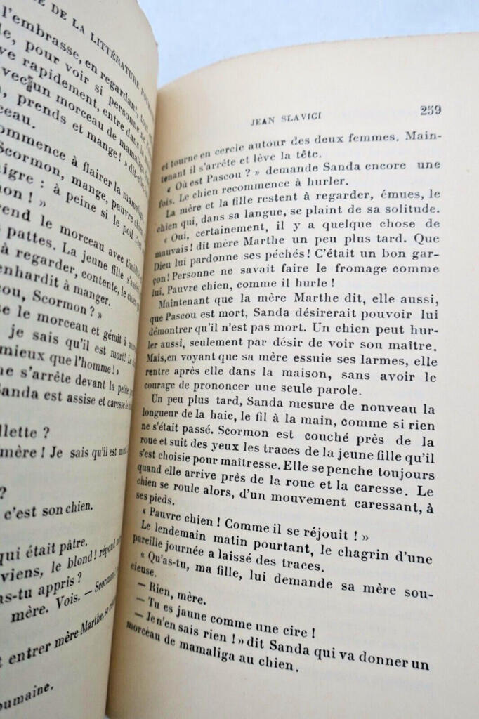 Romanian Literature Anthology from Origins to 20th Century