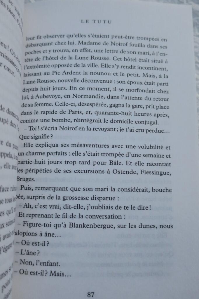 A Mysterious 19th Century Novel