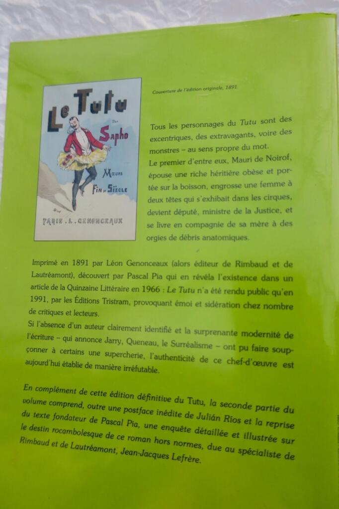 A Mysterious 19th Century Novel