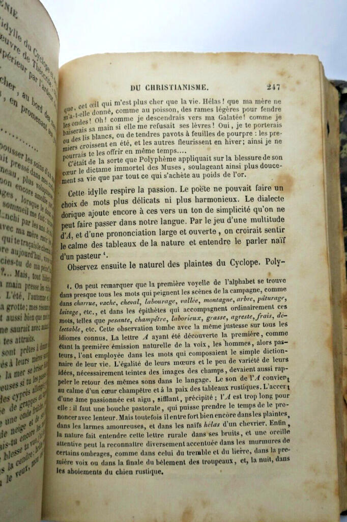 Der Genius des Christentums