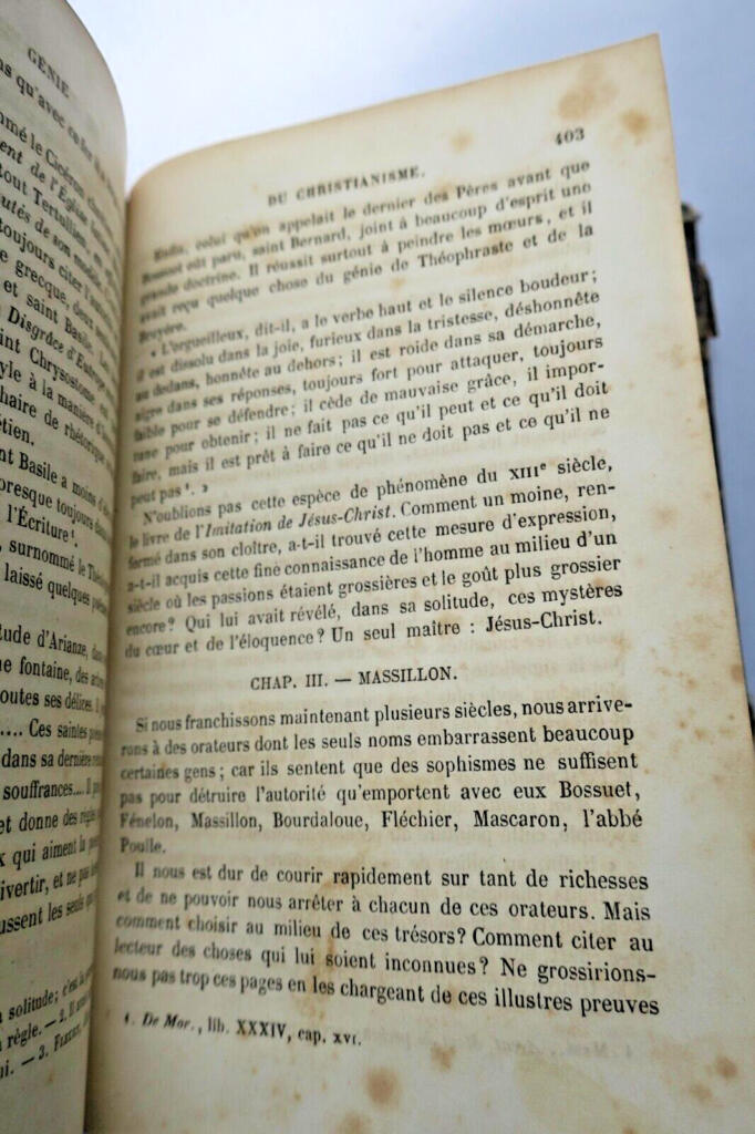 Der Genius des Christentums