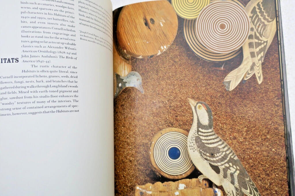 Cornell's Poetic Vision and Magical Constructions