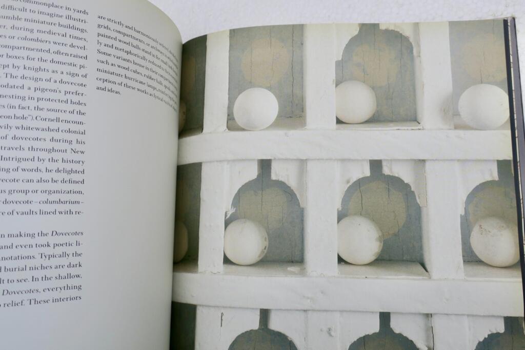 Cornell's Poetic Vision and Magical Constructions