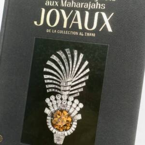 BIJOU Grands Moghols aux Maharajahs Joyaux
