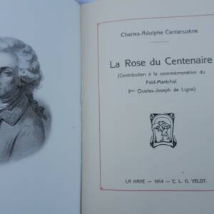 Cantacuzène La rose du centenaire 1914