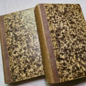 Histoire de Madame de Maintenon et des principaux évènements du règne de Louis X