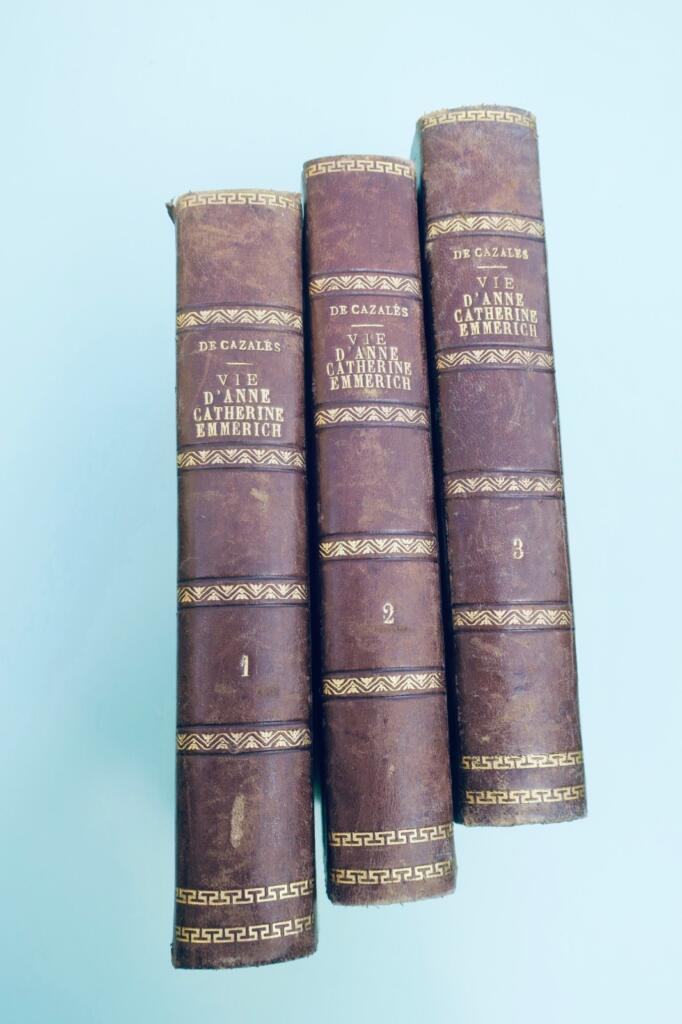 Life of Anne-Catherine Emmerich by Karl Erhard Schmöger