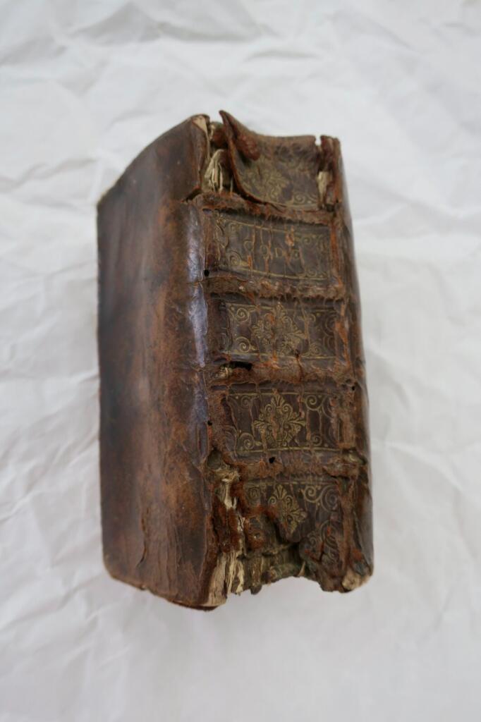 Legal Orders and Customs of Normandy