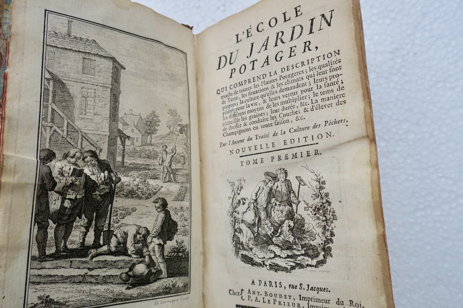 18th-century guide to vegetable gardening – Image 10