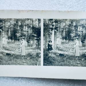 Harfleur allée du château de Collemoulin 76 carte stéréo