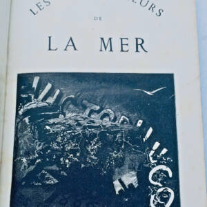 VICTOR HUGO LES TRAVAILLEURS DE LA MER