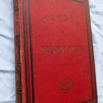 HUGO Les Travailleurs de la mer ill-de HUGO / Méaulle