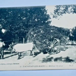 Taussat-les-bains attelage du pays 1917