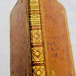 Pierre Lotis seltene Rosenminiaturen