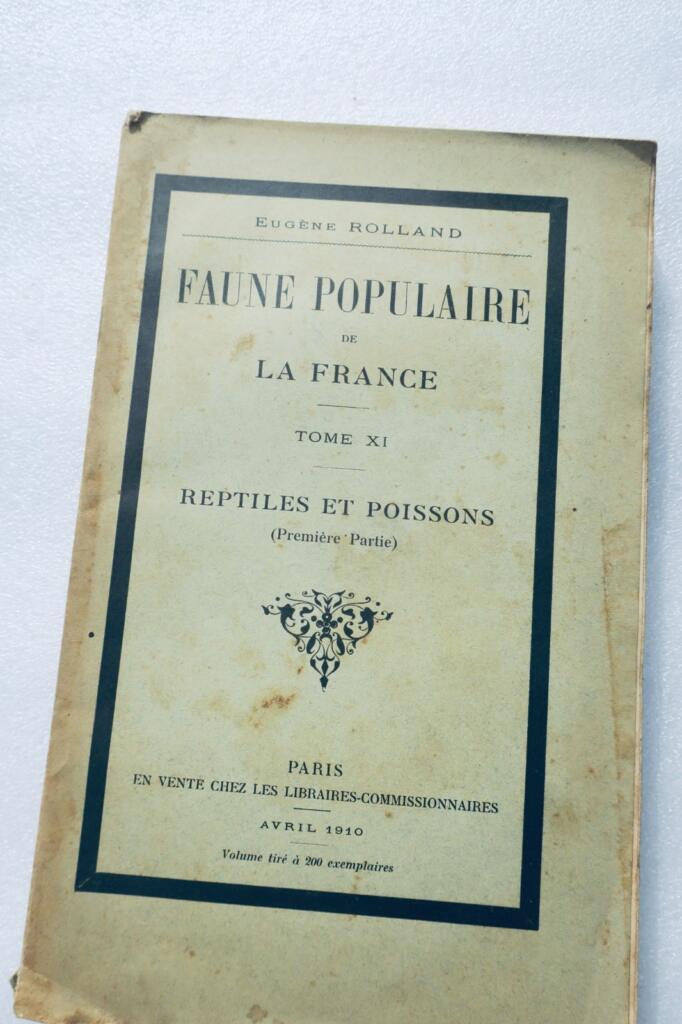 French reptiles and fish fauna guide