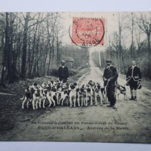chasse à courre en passe-forêt de Coucy arrivée de la meute 1906
