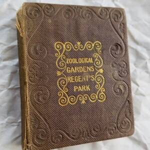 Mini zoological gardens regent's park 65 x 75 mm.
