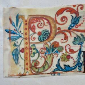 Enluminure 70 x 59 mm.