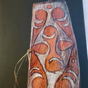 Shields of Melanesia