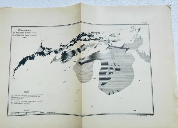 Algerian and North African Geology Since 1830