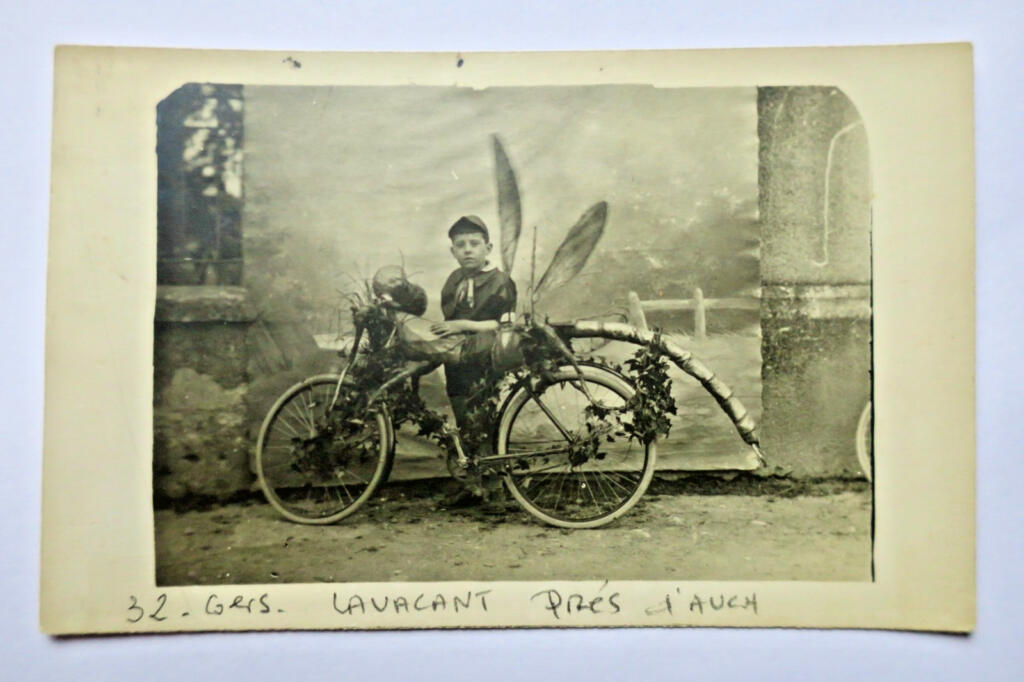 Bicycle Dragonfly: Regional Photo Map