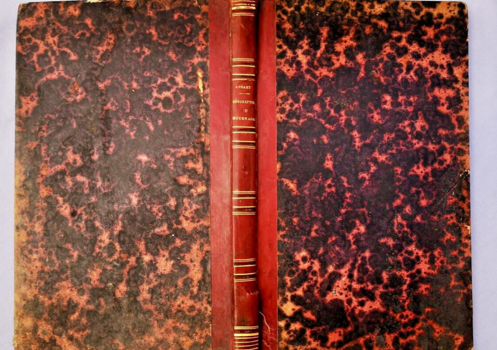 Rare Medieval Geography Summary