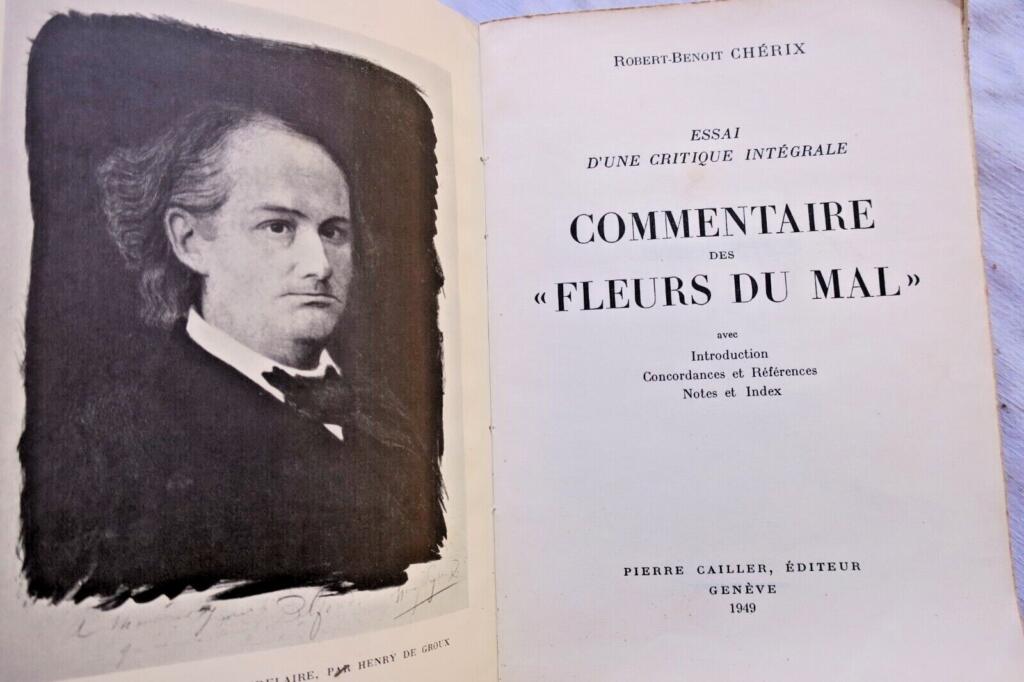 Comprehensive Critical Essay on Baudelaire's Les Fleurs du Mal