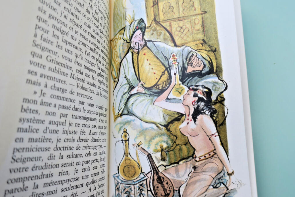 Erotische Memoiren von Leidenschaft und Hingabe