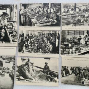 sardine Douarnenez 29 lots de 8 cpa