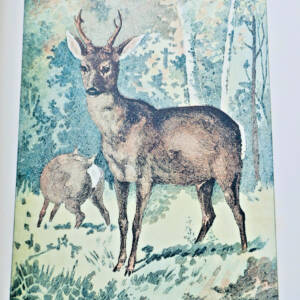 chasse LACROIX-DANLIARD Au bois légendes et études de moeurs sur les quadrupèdes