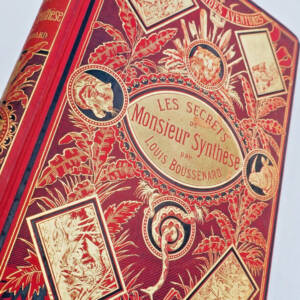 BOUSSENARD LES SECRETS DE MONSIEUR SYNTHESE