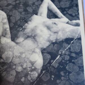 érotique MILLER, Henry Sexus