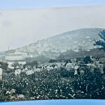Grasse 1913 Harvest Postcard