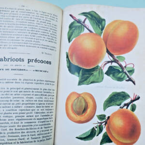 Le Progrès Agricole et Viticole 1907 - 1er semestre