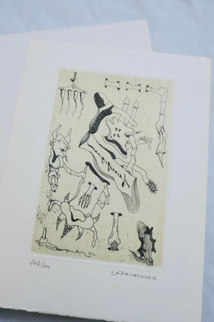 Surrealism and the Artist's Vision