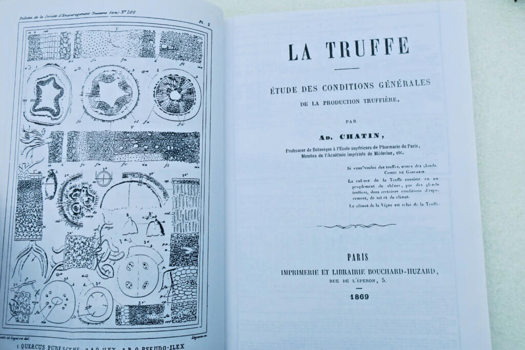 truffe Chatin La Truffe : étude des conditions générales de la production