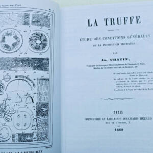 truffe Chatin La Truffe : étude des conditions générales de la production