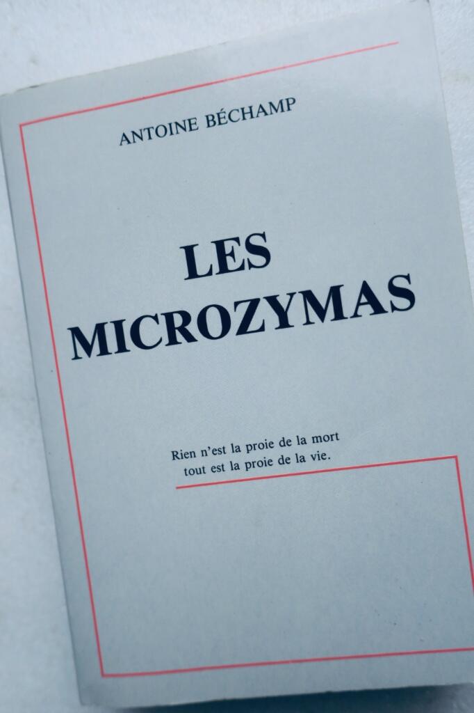 Microzymas: Relationships in Science